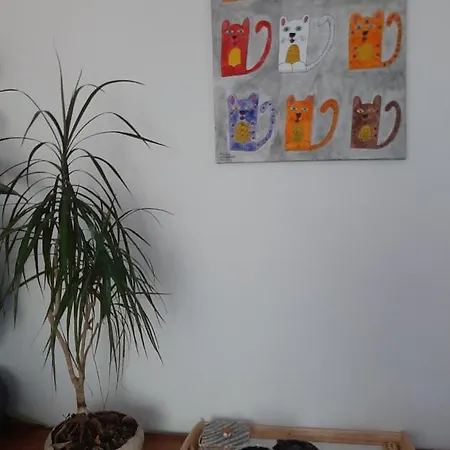 Apartmán Sauna Dom *