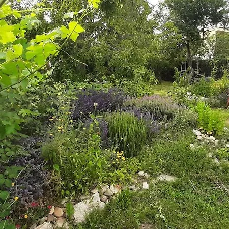 Appartement Sauna Dom Pezinok